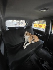 Κάλυμμα Αυτοκινήτου  - Για Σκύλους M